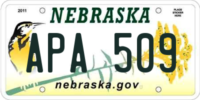 NE license plate APA509