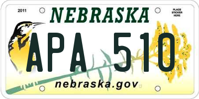 NE license plate APA510