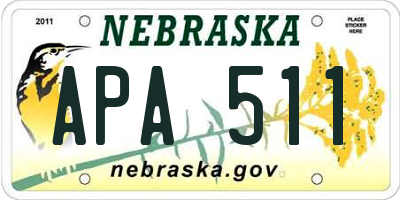 NE license plate APA511
