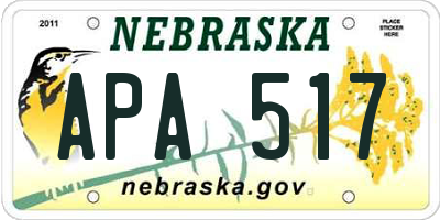 NE license plate APA517