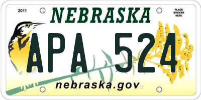 NE license plate APA524