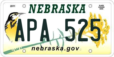 NE license plate APA525