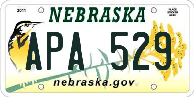 NE license plate APA529