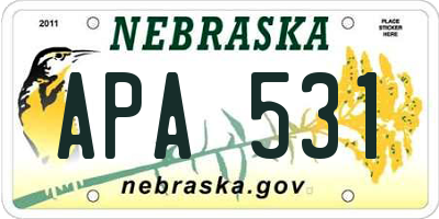 NE license plate APA531