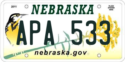 NE license plate APA533
