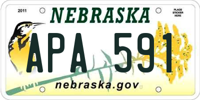 NE license plate APA591
