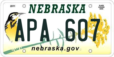NE license plate APA607