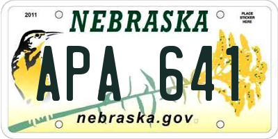 NE license plate APA641