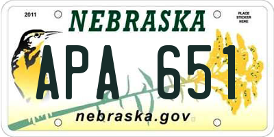 NE license plate APA651