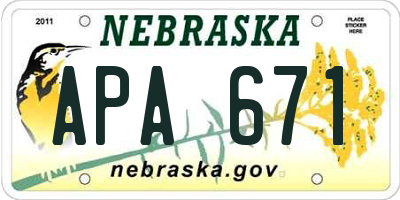 NE license plate APA671