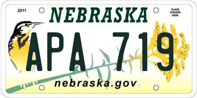 NE license plate APA719