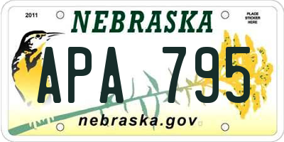 NE license plate APA795