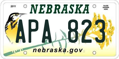 NE license plate APA823