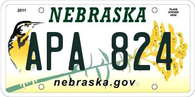 NE license plate APA824
