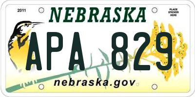 NE license plate APA829