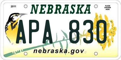 NE license plate APA830