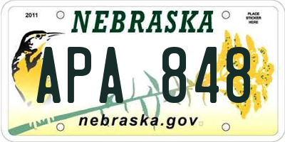 NE license plate APA848