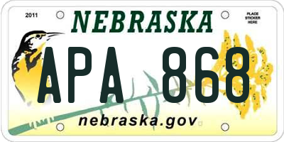 NE license plate APA868