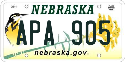 NE license plate APA905