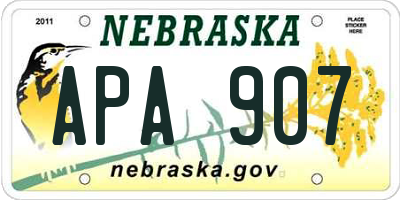 NE license plate APA907