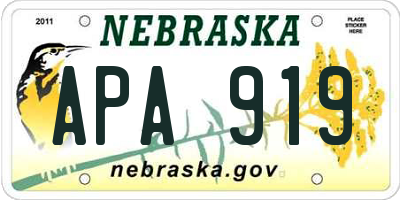 NE license plate APA919