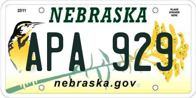 NE license plate APA929