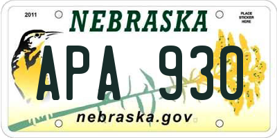 NE license plate APA930