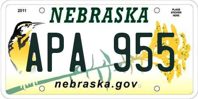 NE license plate APA955
