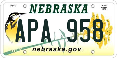 NE license plate APA958