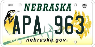 NE license plate APA963