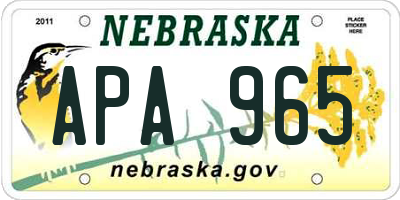NE license plate APA965