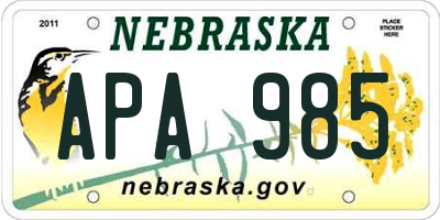 NE license plate APA985