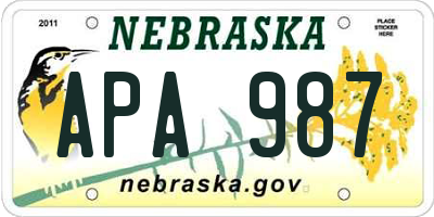 NE license plate APA987