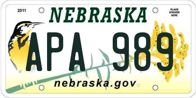 NE license plate APA989