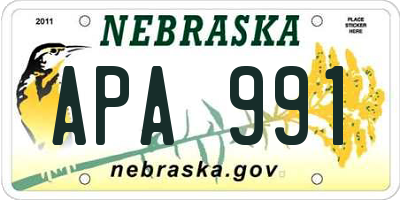 NE license plate APA991