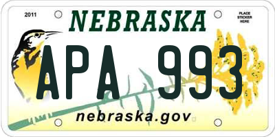 NE license plate APA993