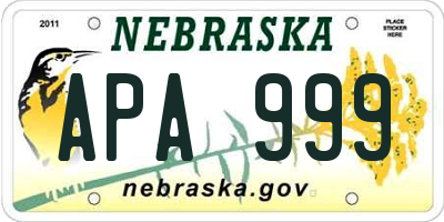 NE license plate APA999