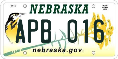 NE license plate APB016