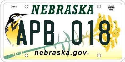 NE license plate APB018