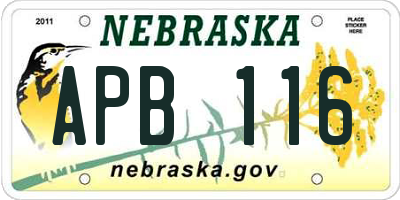 NE license plate APB116