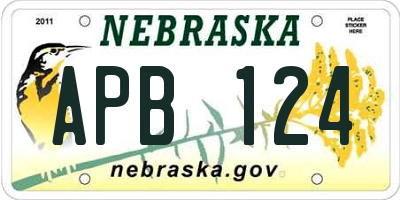 NE license plate APB124