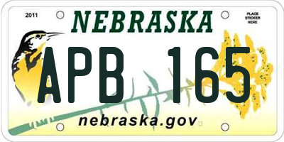 NE license plate APB165