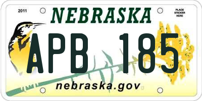 NE license plate APB185