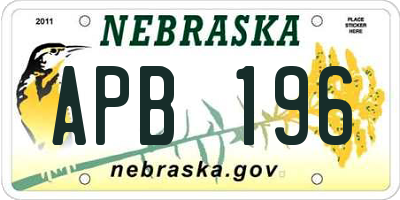 NE license plate APB196