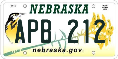 NE license plate APB212