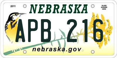 NE license plate APB216