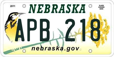 NE license plate APB218