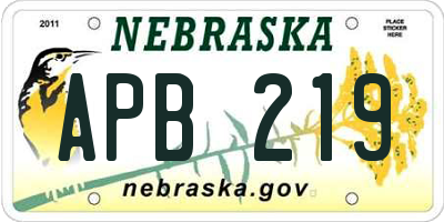 NE license plate APB219