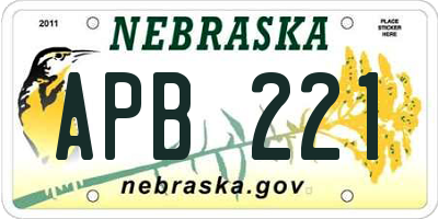 NE license plate APB221