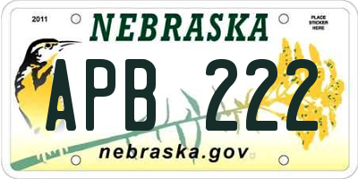 NE license plate APB222